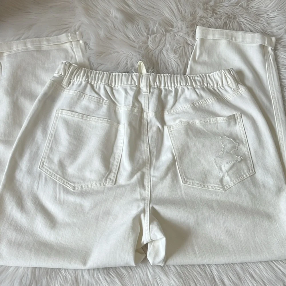NWT Aerie denim jogger L - Picture 5 of 5